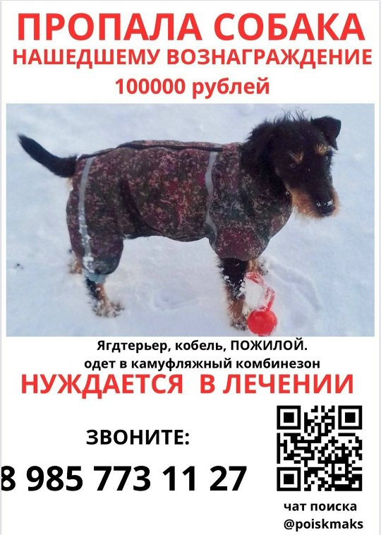 Фото Макс