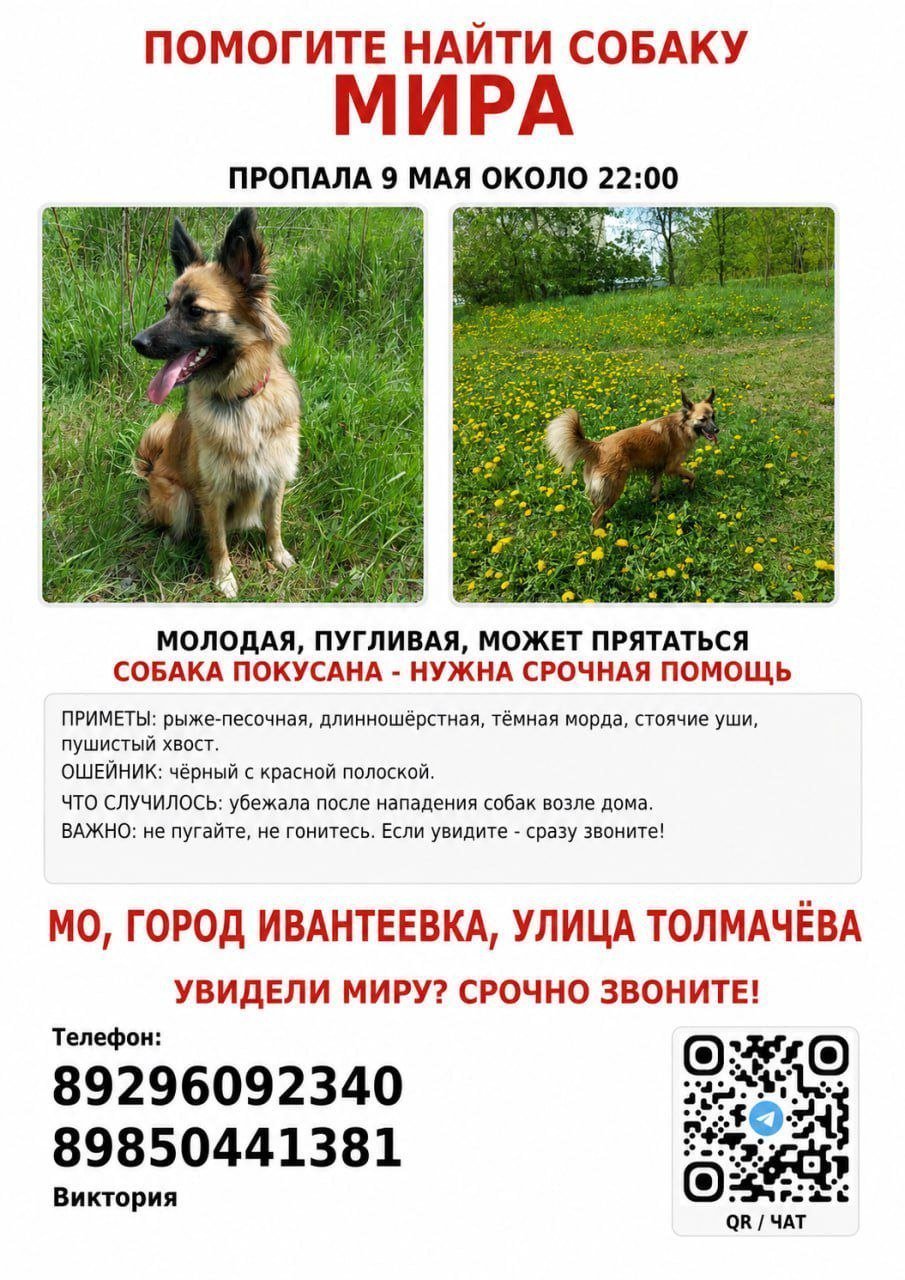 Фото Мира