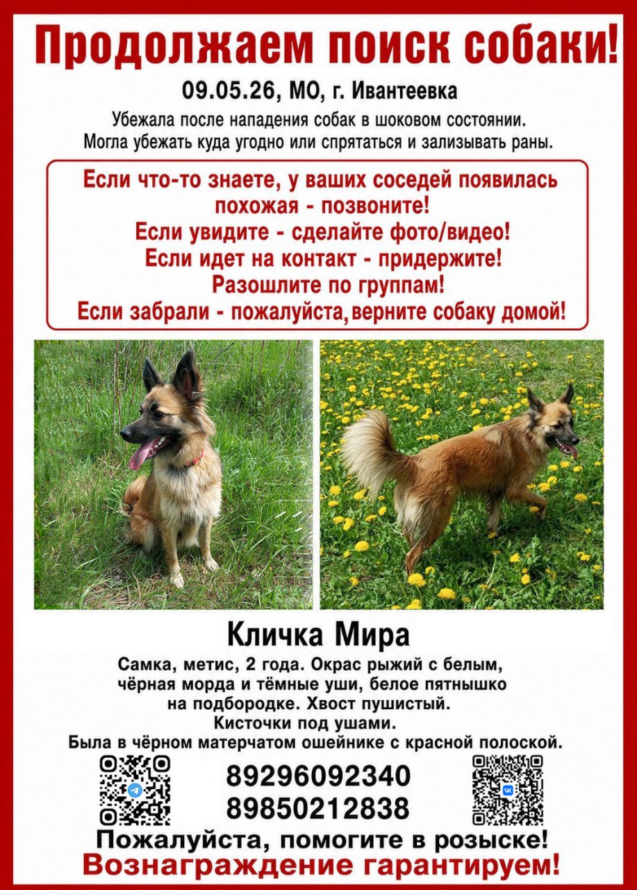 Фото Мира